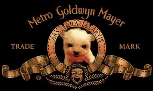 cute-puppy-MGM-logo.gif