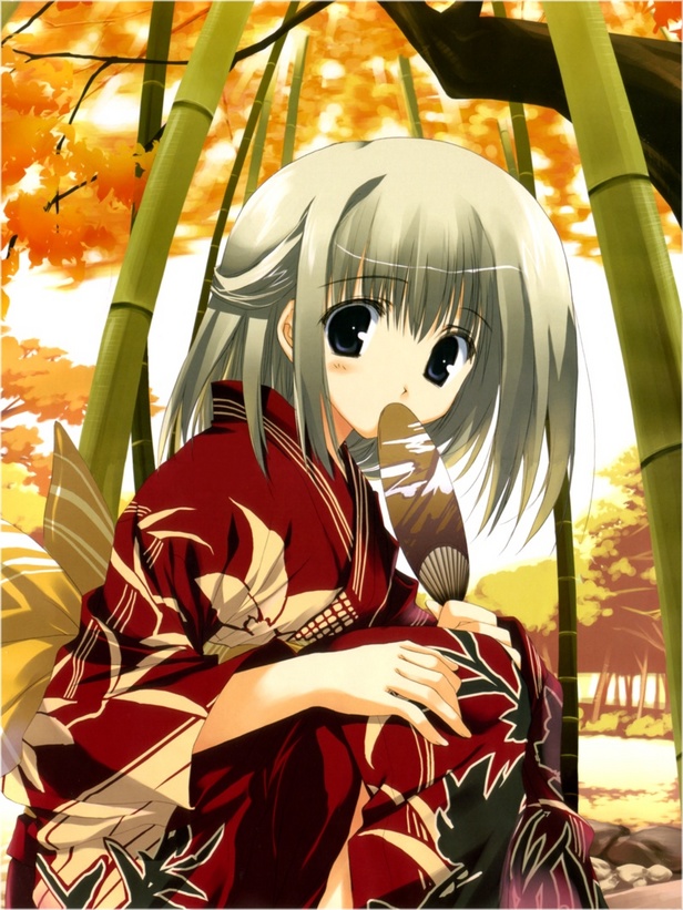 kimono_girl_1.jpg