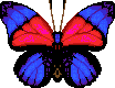 Agrias_Butterfly_City_Folk_texture.png