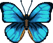 Emperor_Butterfly_City_Folk_texture.png