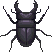 Giant_Beetle_Wild_World.gif