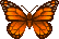Monarch_Butterfly_Wild_World.png