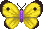 Yellow_Butterfly_Wild_World.png